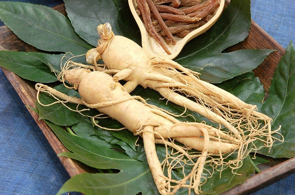 Premium Natural White Ginseng